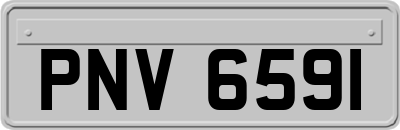 PNV6591