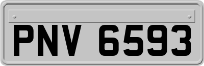 PNV6593