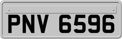 PNV6596