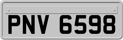 PNV6598