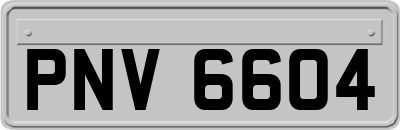 PNV6604