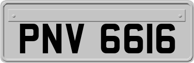 PNV6616