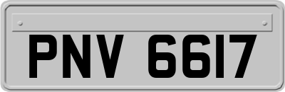 PNV6617