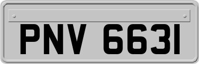 PNV6631