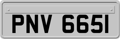 PNV6651