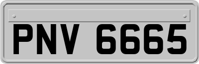 PNV6665