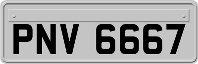 PNV6667