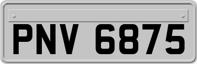 PNV6875