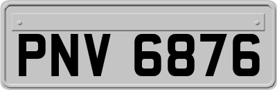 PNV6876