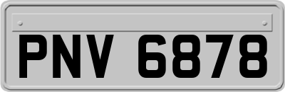 PNV6878