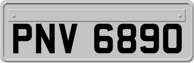 PNV6890