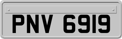 PNV6919