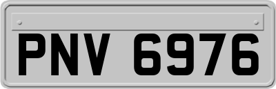 PNV6976