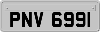 PNV6991