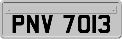 PNV7013