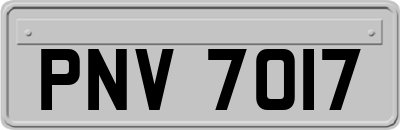 PNV7017
