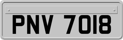 PNV7018