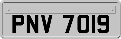 PNV7019