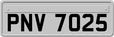 PNV7025