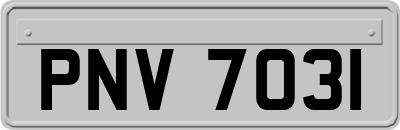 PNV7031