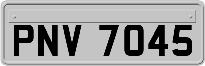 PNV7045