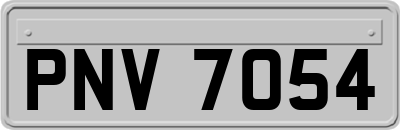 PNV7054