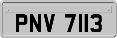 PNV7113