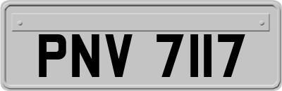 PNV7117
