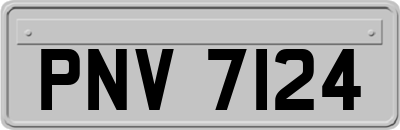 PNV7124