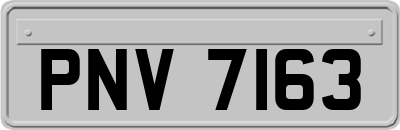 PNV7163