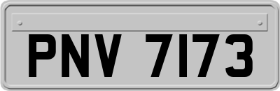 PNV7173