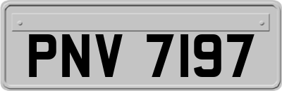 PNV7197