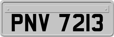 PNV7213