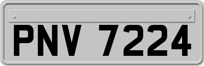 PNV7224