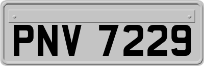 PNV7229