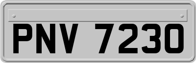 PNV7230