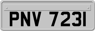 PNV7231