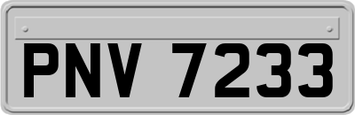 PNV7233