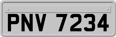 PNV7234