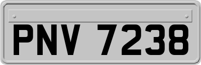 PNV7238