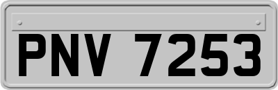 PNV7253