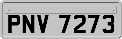 PNV7273