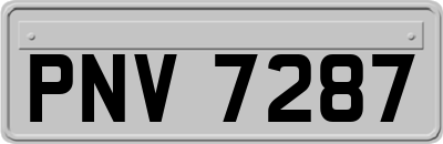 PNV7287