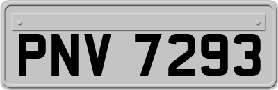 PNV7293