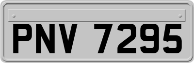 PNV7295