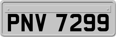 PNV7299