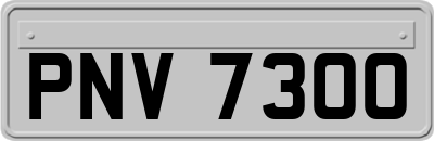 PNV7300