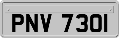 PNV7301