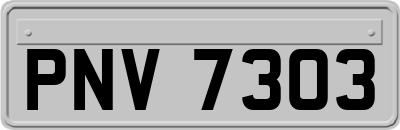 PNV7303