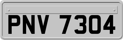 PNV7304